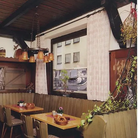 ゲストハウス Goldene Gans