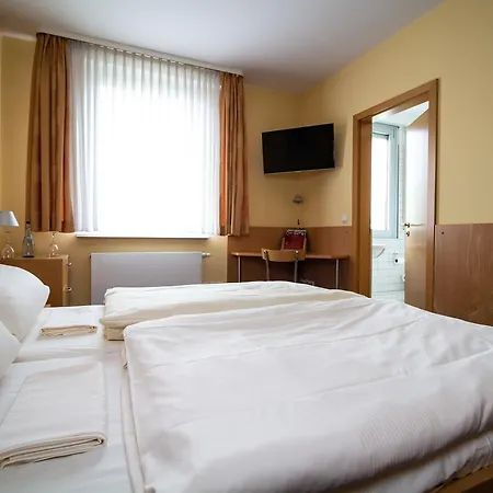 ゲストハウス Goldene Gans