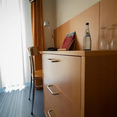 ゲストハウス Goldene Gans 3*