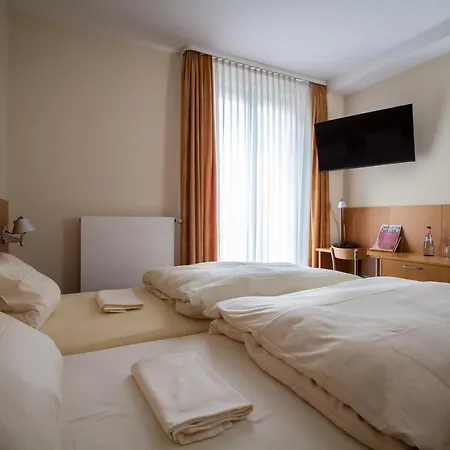 ゲストハウス Goldene Gans マンハイム